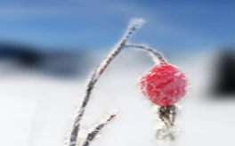 立冬降至如何驅(qū)寒？